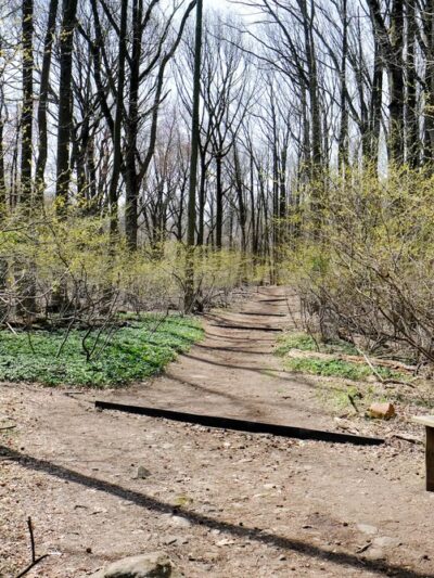 Latourette Park - Staten Island, NY
