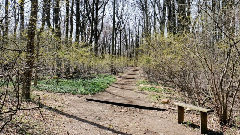 Latourette Park - Staten Island, NY