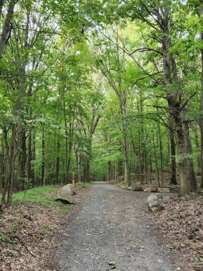 Latourette Park - Staten Island, NY