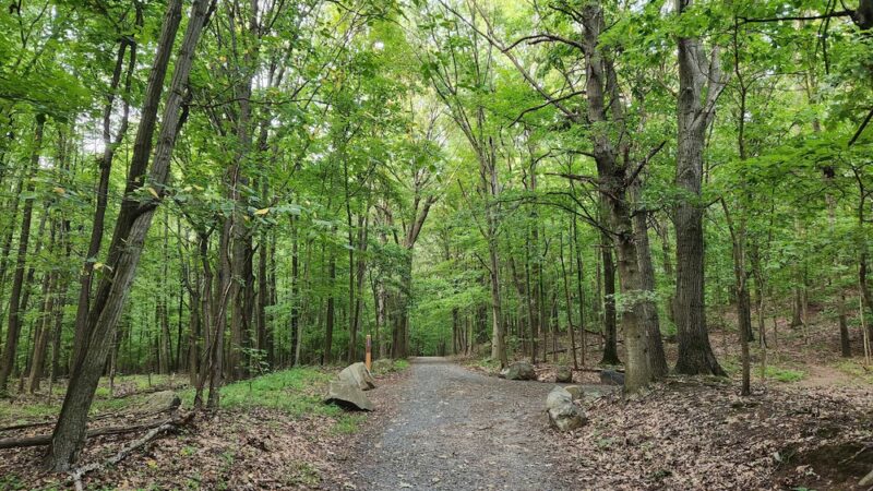 Latourette Park - Staten Island, NY