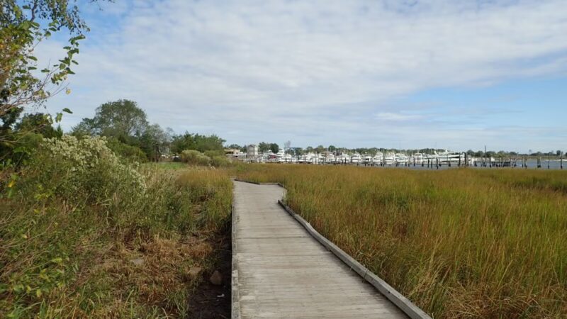 Seaside Wildlife Nature Park - Staten Island, NY