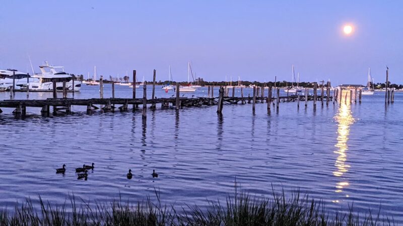 Seaside Wildlife Nature Park - Staten Island, NY