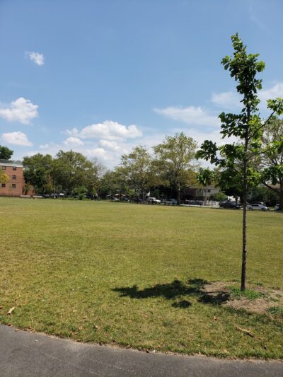 The Big Park - Staten Island, NY