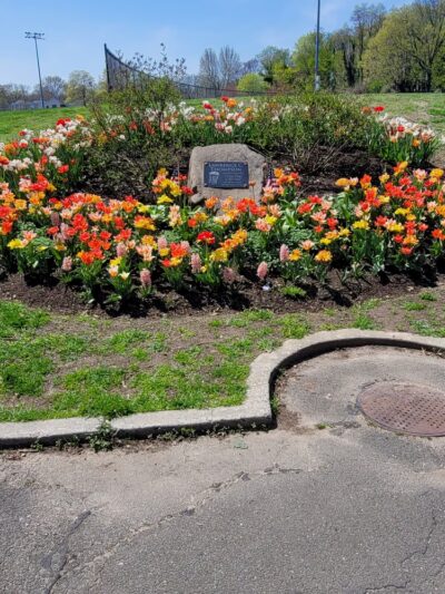 Veterans Park - Staten Island, NY