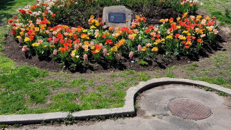 Veterans Park - Staten Island, NY