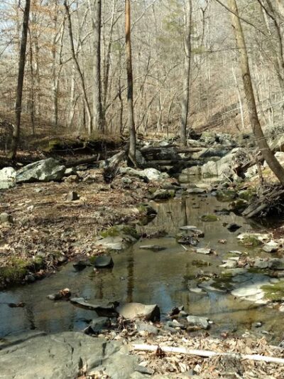 Ledge Creek Forest Conservation Area - Trailhead #1 - Stem, NC