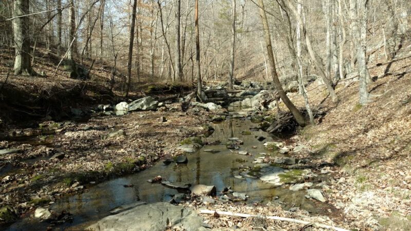 Ledge Creek Forest Conservation Area - Trailhead #1 - Stem, NC