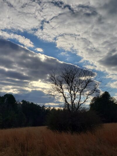 Ledge Creek Forest Conservation Area - Trailhead #1 - Stem, NC