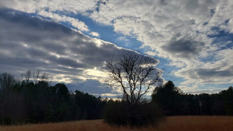 Ledge Creek Forest Conservation Area - Trailhead #1 - Stem, NC