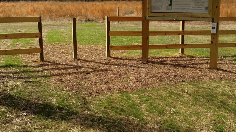 Ledge Creek Forest Conservation Area - Trailhead #1 - Stem, NC