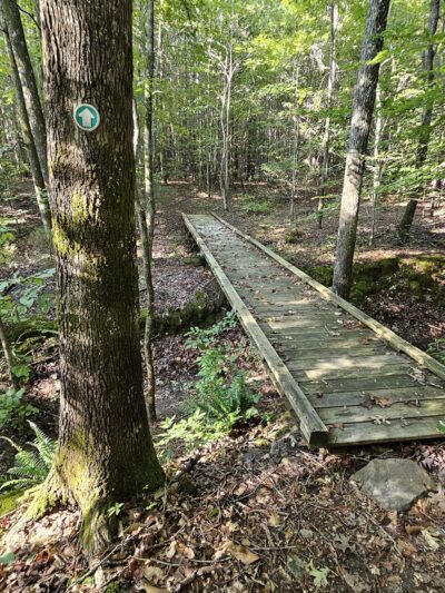 Ledge Creek Forest Conservation Area - Trailhead #2 - Stem, NC