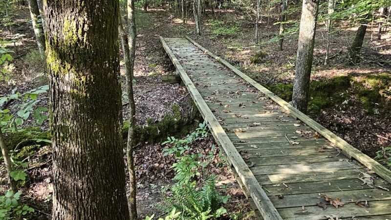 Ledge Creek Forest Conservation Area - Trailhead #2 - Stem, NC