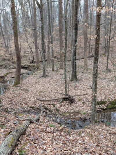 Roberts Chapel Conservation Area - Stem, NC