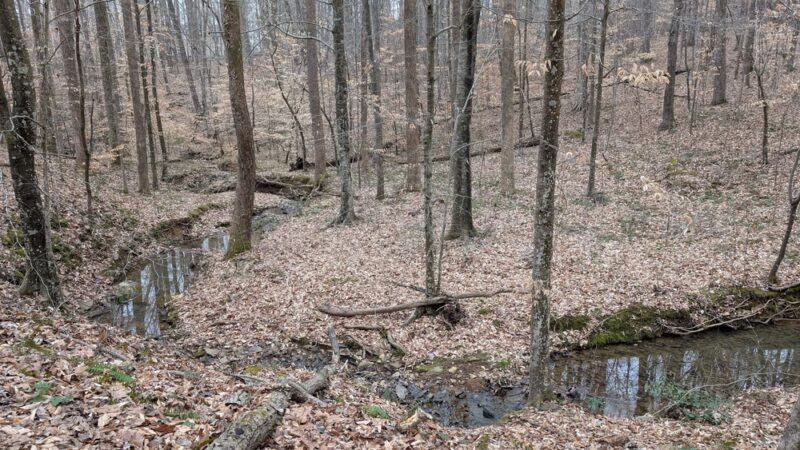 Roberts Chapel Conservation Area - Stem, NC