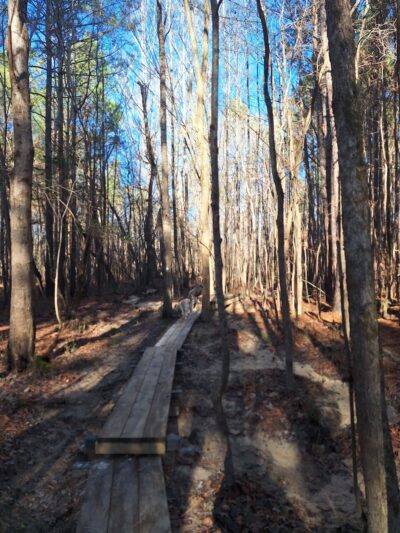 Roberts Chapel Conservation Area - Stem, NC