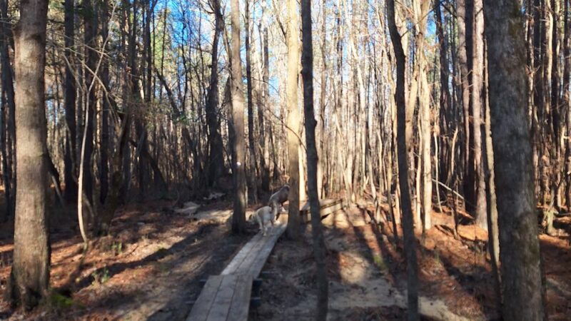 Roberts Chapel Conservation Area - Stem, NC