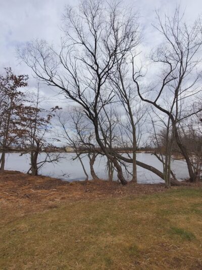 Bowman Library Trail - Stephens City, VA