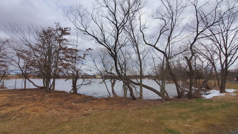 Bowman Library Trail - Stephens City, VA