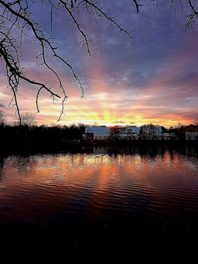 Bowman Library Trail - Stephens City, VA
