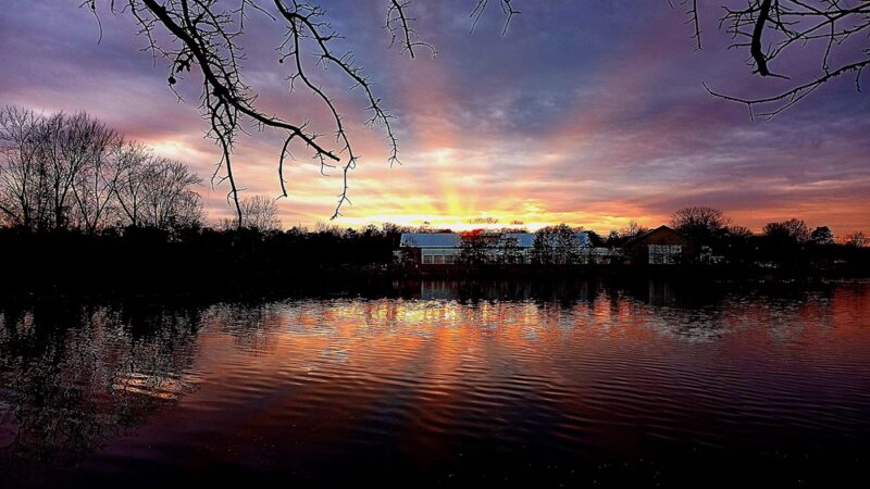 Bowman Library Trail - Stephens City, VA