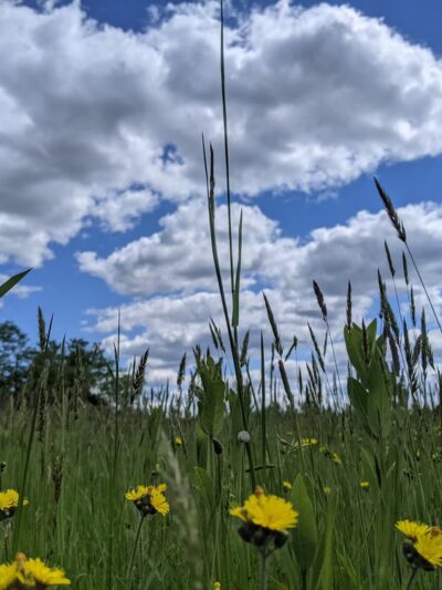 Sherando Bike Park - Stephens City, VA