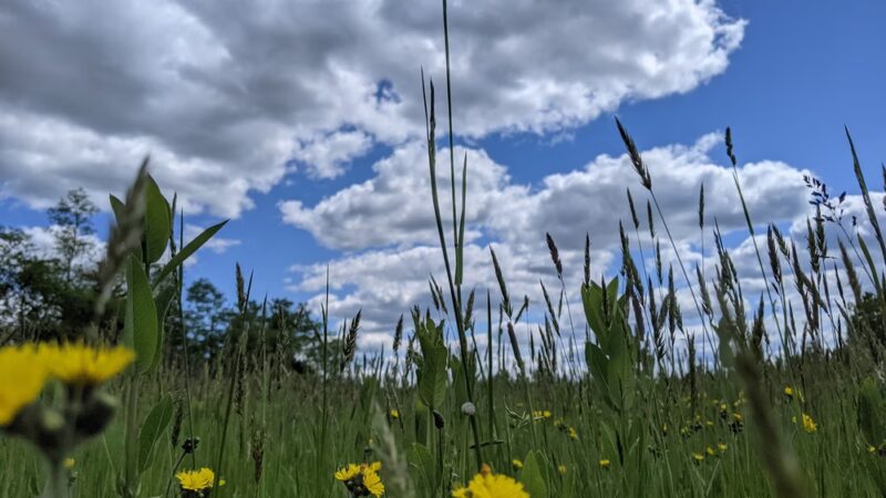 Sherando Bike Park - Stephens City, VA