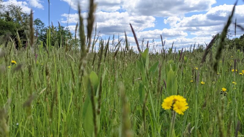 Sherando Bike Park - Stephens City, VA