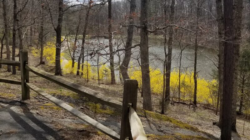 Sherando Park - Stephens City, VA