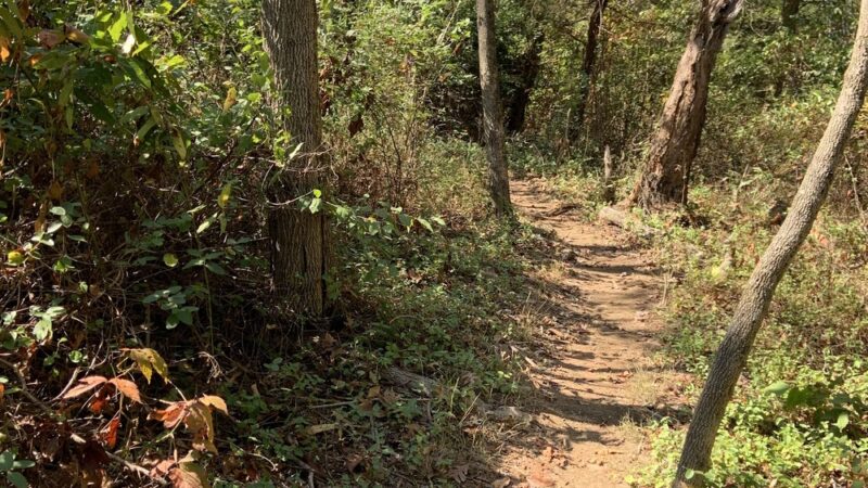 Sherando Park Mountain Bike Trails - Stephens City, VA