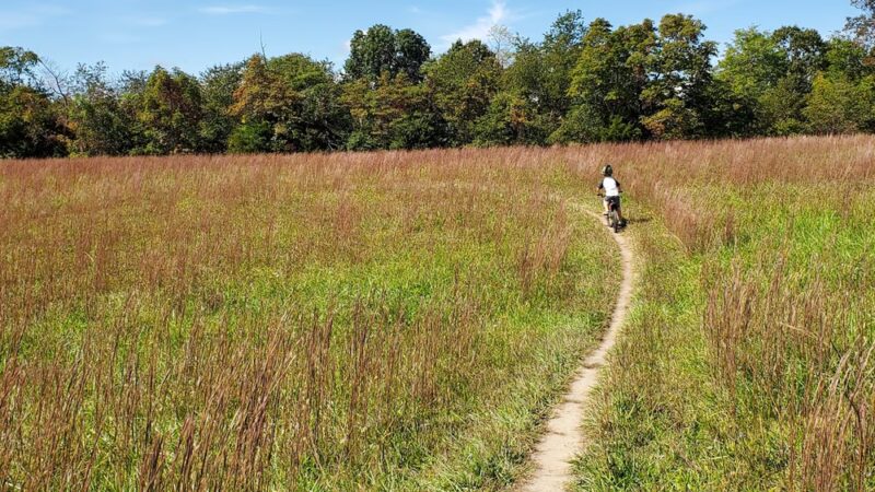 Sherando Park Mountain Bike Trails - Stephens City, VA