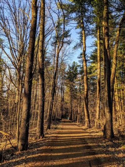 Mass Central Rail Trail - Sterling Cider Mills Trailhead - Sterling, MA