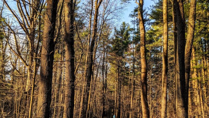 Mass Central Rail Trail - Sterling Cider Mills Trailhead - Sterling, MA