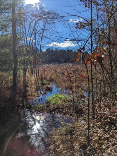 Mass Central Rail Trail - Sterling Cider Mills Trailhead - Sterling, MA