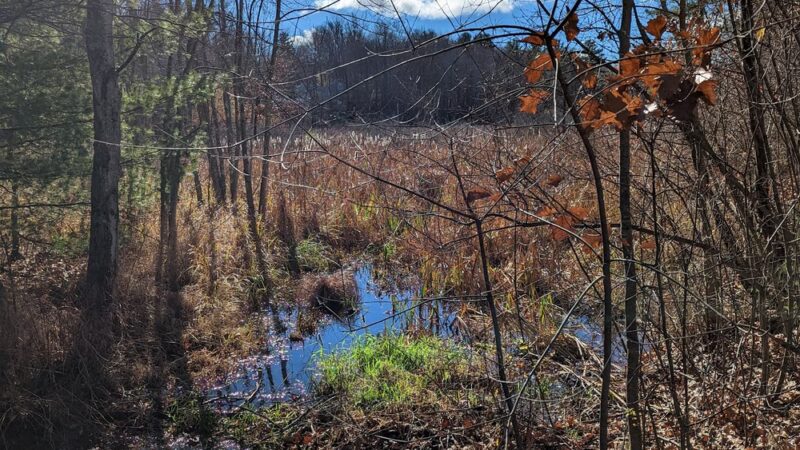 Mass Central Rail Trail - Sterling Cider Mills Trailhead - Sterling, MA