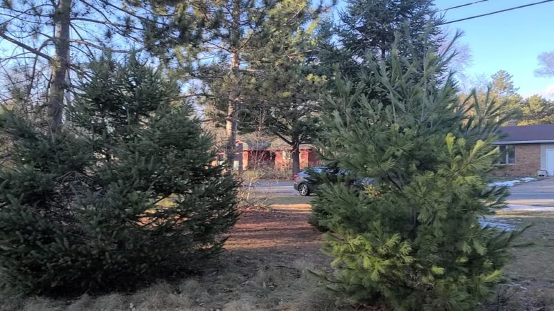 Plover Hills Park - Stevens Point, WI