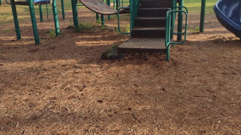 Stevenson City Park Campground - Stevenson, AL