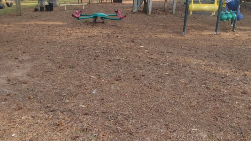Stevenson City Park Campground - Stevenson, AL