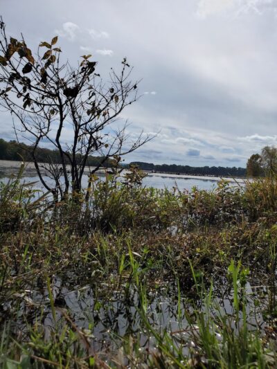 Stevenson Parks & Recreation - Stevenson, AL