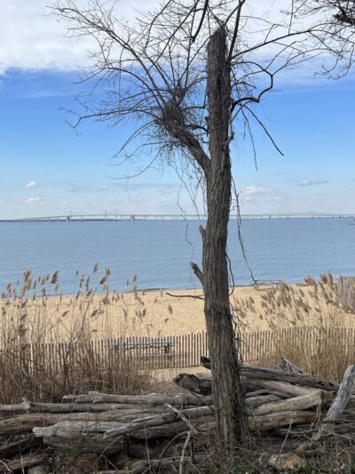 Matapeake Park - Stevensville, MD