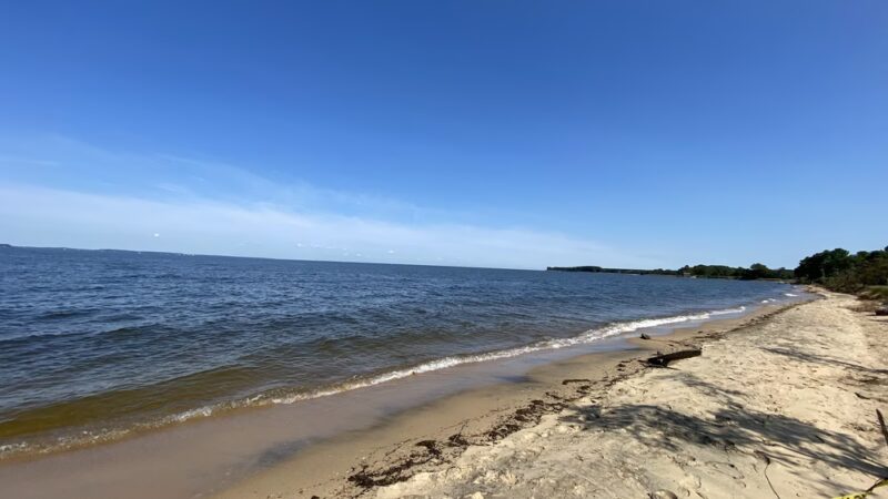 Terrapin Nature Park - Stevensville, MD
