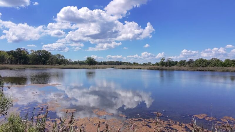 Terrapin Nature Park - Stevensville, MD
