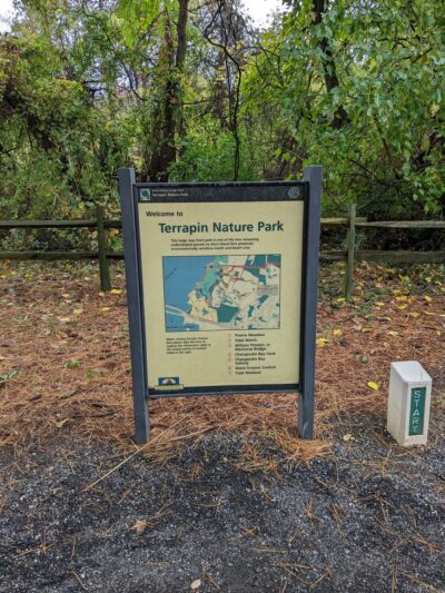 Terrapin Nature Park - Stevensville, MD