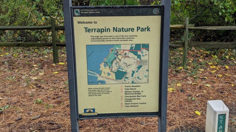 Terrapin Nature Park - Stevensville, MD