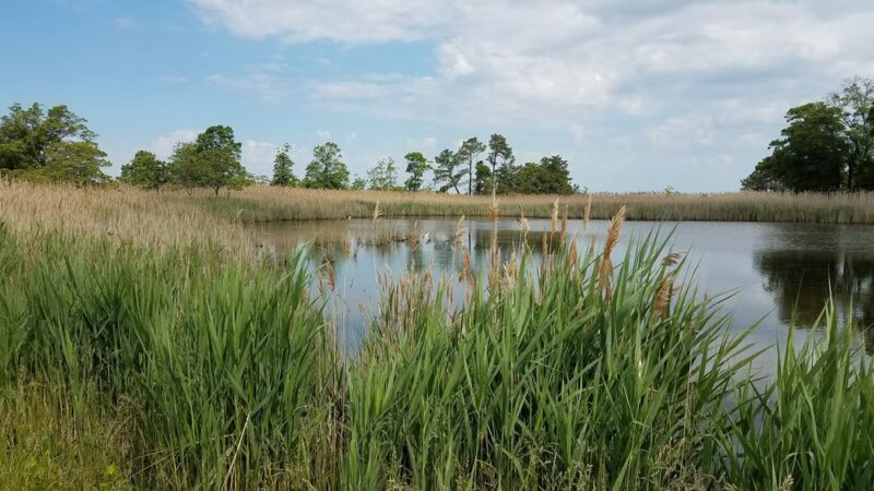 Terrapin Nature Park - Stevensville, MD