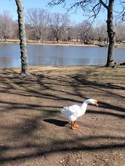 Adair Park - Stilwell, OK