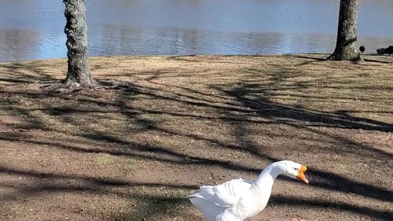 Adair Park - Stilwell, OK