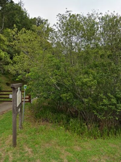 Audubon Canyon Ranch，Martin Griffin Preserve - Stinson Beach, CA