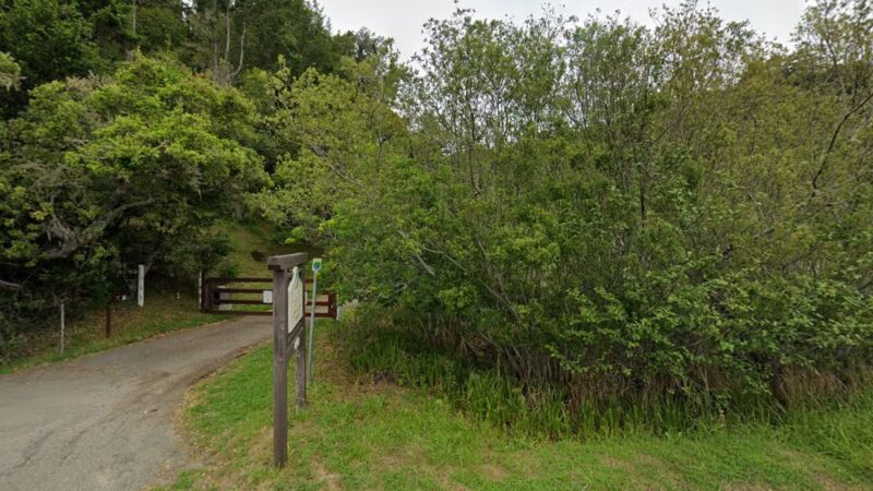 Audubon Canyon Ranch，Martin Griffin Preserve - Stinson Beach, CA