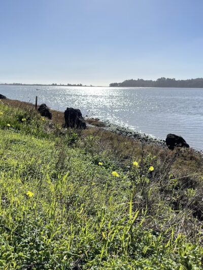 Audubon Canyon Ranch,Martin Griffin Preserve - Stinson Beach, CA