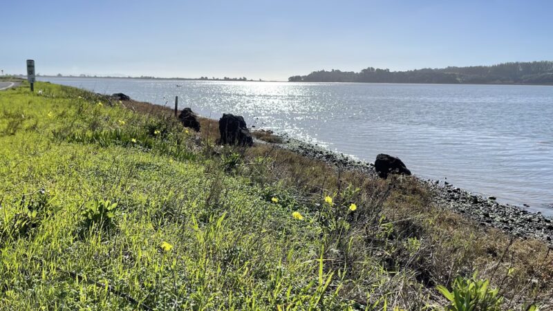 Audubon Canyon Ranch,Martin Griffin Preserve - Stinson Beach, CA